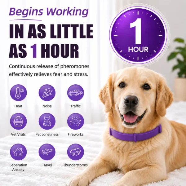 Dog Calming Collar 4 Pack, Adjustable Pheromone Calming Collars for Dogs, Waterproof Anxiety Relief Collar, Long Lasting 60 Days, Fits Small Medium and Large Dogs