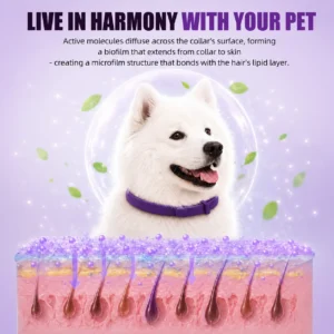 Dog Calming Collar 4 Pack, Adjustable Pheromone Calming Collars for Dogs, Waterproof Anxiety Relief Collar, Long Lasting 60 Days, Fits Small Medium and Large Dogs